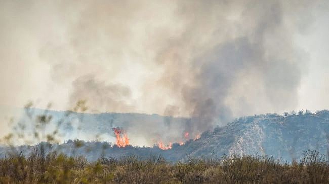 Tres Hombres Permanecen Detenidos Por Intentar Prender Fuego En Las