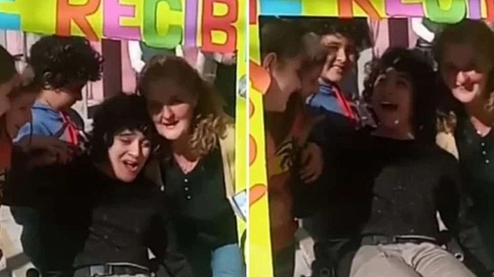 (233182)