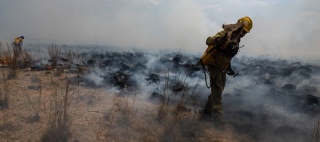  sector_css: 41222