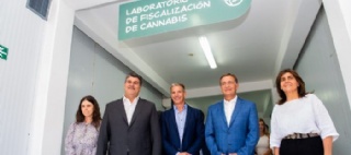  sector_css: 55661