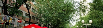  sector_css: 49275