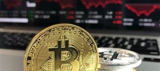  sector_css: 53256
