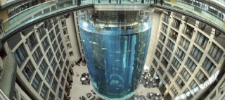  sector_css: 55266