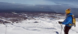  sector_css: 40545