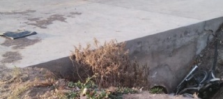 sector_css: 61623