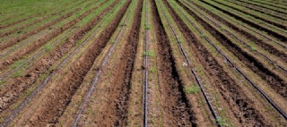  sector_css: 57367