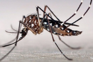  sector_css: 75810