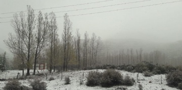  sector_css: 70320