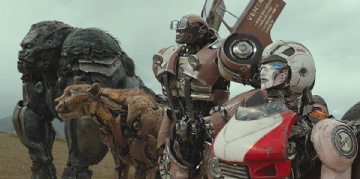  sector_css: 70652