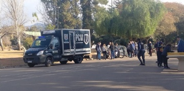  sector_css: 71381
