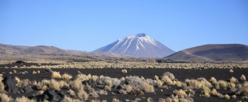  sector_css: 75729
