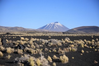  sector_css: 75729