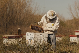  sector_css: 71356