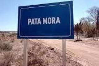  id_tipo: 0
