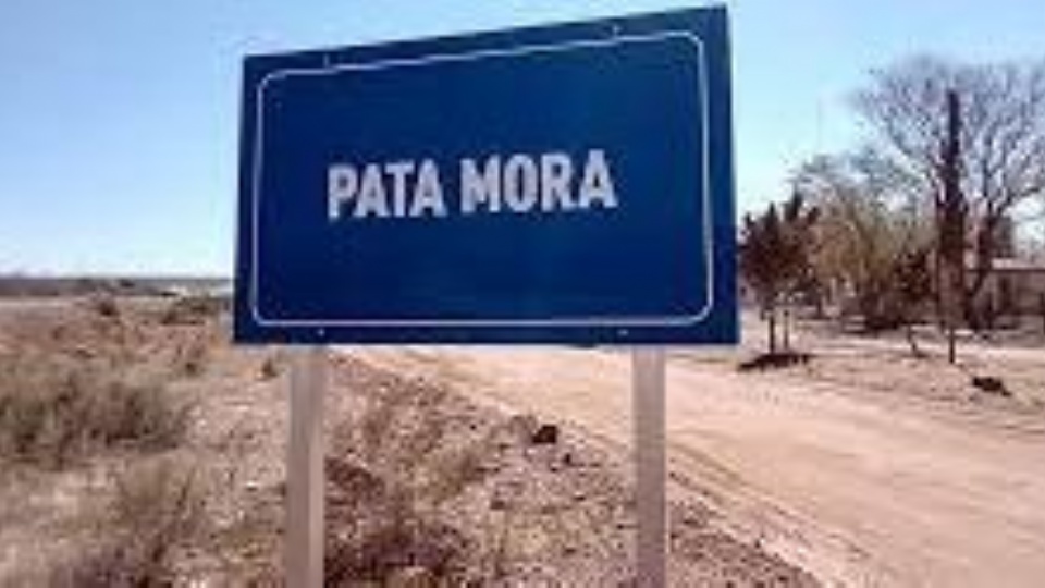 (164889)