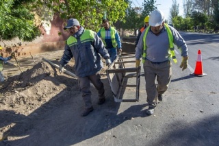  id_tipo: 0